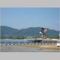 072 orzel morski symbol Langkawi.html